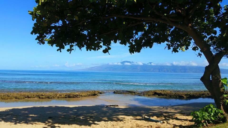 Lahaina Wonderful Condos Exteriör bild